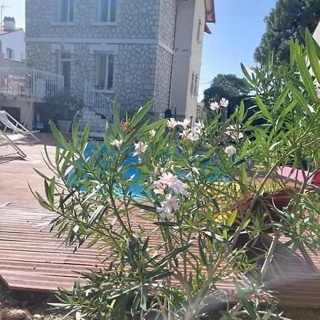 Renove Et Cosy Au Calme